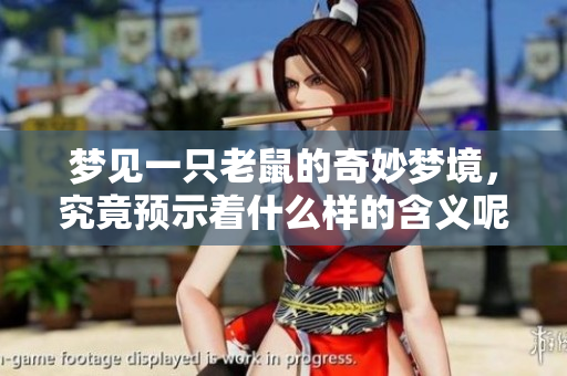 梦见一只老鼠的奇妙梦境，究竟预示着什么样的含义呢