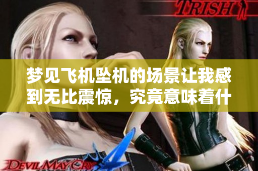 梦见飞机坠机的场景让我感到无比震惊，究竟意味着什么呢