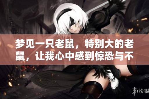 梦见一只老鼠，特别大的老鼠，让我心中感到惊恐与不安