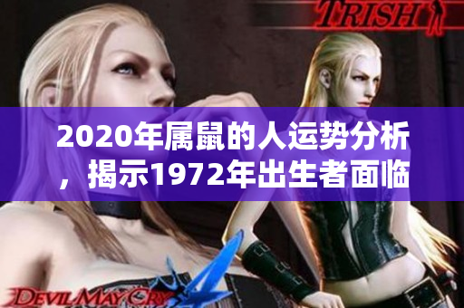 2020年属鼠的人运势分析，揭示1972年出生者面临的机遇与挑战