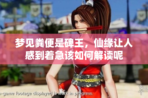 梦见粪便是碑王，仙缘让人感到着急该如何解读呢