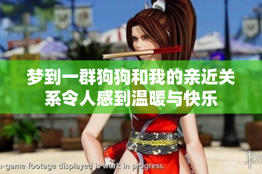 梦到一群狗狗和我的亲近关系令人感到温暖与快乐