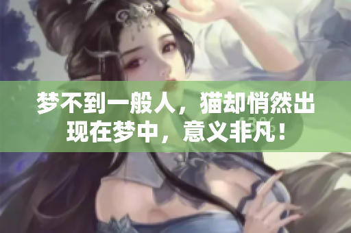 梦不到一般人，猫却悄然出现在梦中，意义非凡！