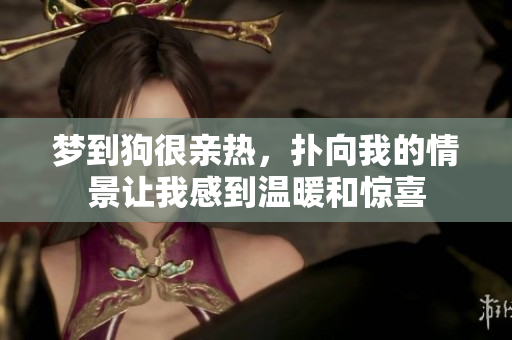 梦到狗很亲热，扑向我的情景让我感到温暖和惊喜