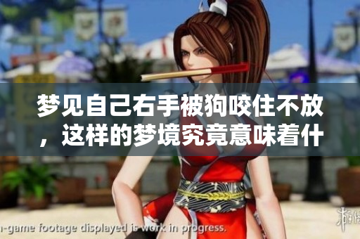 梦见自己右手被狗咬住不放，这样的梦境究竟意味着什么呢