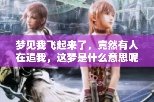 梦见我飞起来了，竟然有人在追我，这梦是什么意思呢