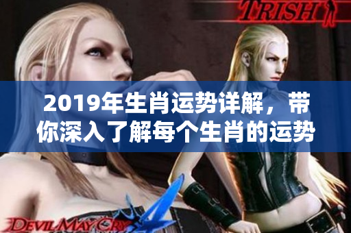 2019年生肖运势详解，带你深入了解每个生肖的运势变化