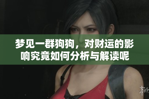 梦见一群狗狗，对财运的影响究竟如何分析与解读呢