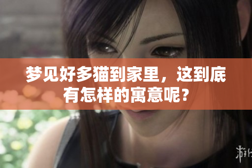 梦见好多猫到家里，这到底有怎样的寓意呢？