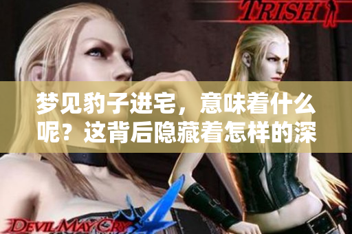 梦见豹子进宅，意味着什么呢？这背后隐藏着怎样的深意与预示呢？