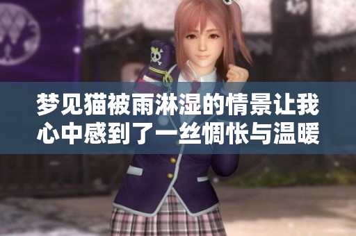 梦见猫被雨淋湿的情景让我心中感到了一丝惆怅与温暖