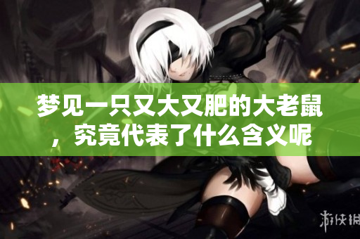 梦见一只又大又肥的大老鼠，究竟代表了什么含义呢