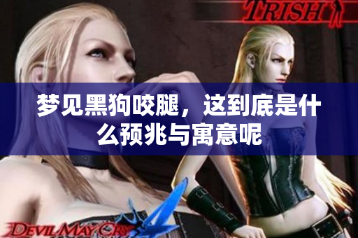 梦见黑狗咬腿，这到底是什么预兆与寓意呢