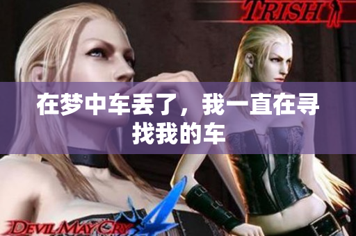 在梦中车丢了，我一直在寻找我的车