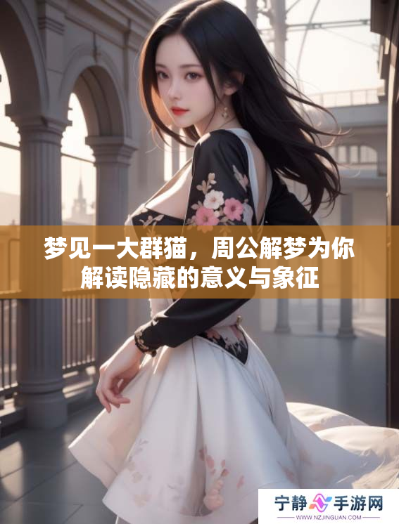 梦见一大群猫，周公解梦为你解读隐藏的意义与象征