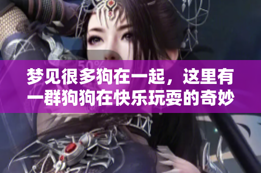 梦见很多狗在一起，这里有一群狗狗在快乐玩耍的奇妙场景