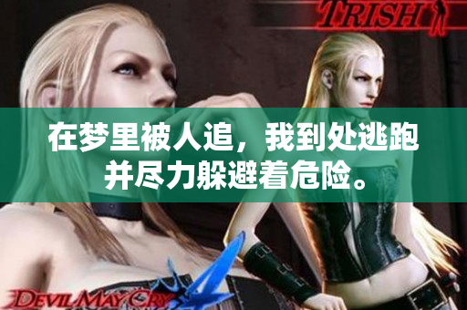 在梦里被人追，我到处逃跑并尽力躲避着危险。