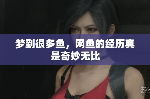 梦到很多鱼，网鱼的经历真是奇妙无比