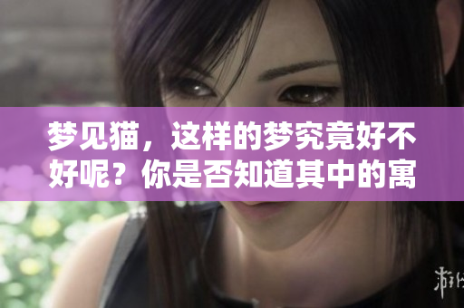梦见猫，这样的梦究竟好不好呢？你是否知道其中的寓意是什么？