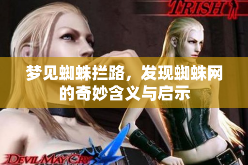 梦见蜘蛛拦路，发现蜘蛛网的奇妙含义与启示
