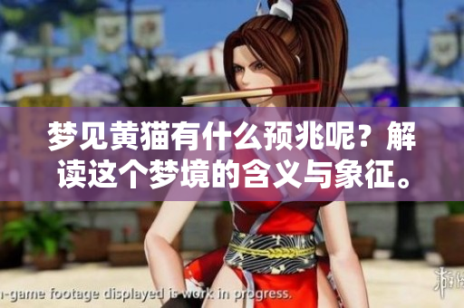 梦见黄猫有什么预兆呢？解读这个梦境的含义与象征。