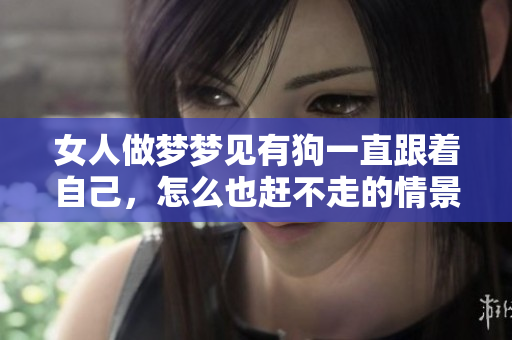 女人做梦梦见有狗一直跟着自己，怎么也赶不走的情景解析