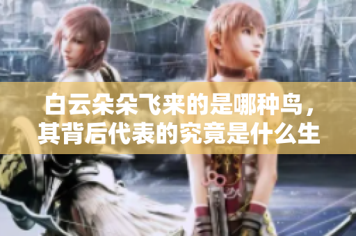 白云朵朵飞来的是哪种鸟，其背后代表的究竟是什么生肖呢