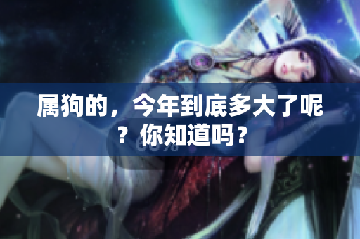 属狗的，今年到底多大了呢？你知道吗？