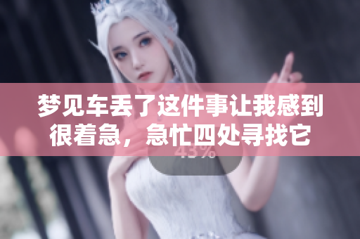 梦见车丢了这件事让我感到很着急，急忙四处寻找它