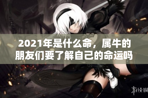 2021年是什么命，属牛的朋友们要了解自己的命运吗