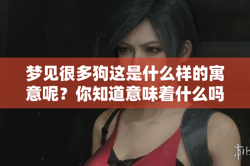梦见很多狗这是什么样的寓意呢？你知道意味着什么吗？