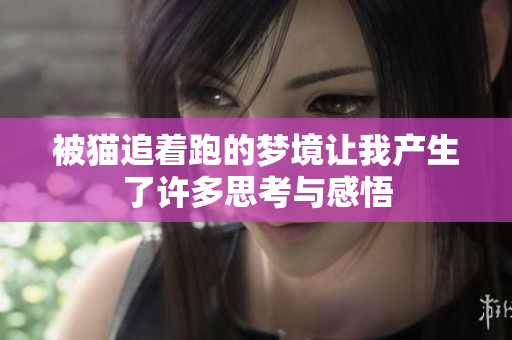 被猫追着跑的梦境让我产生了许多思考与感悟
