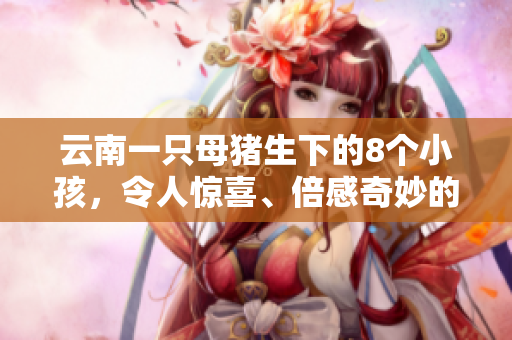 云南一只母猪生下的8个小孩，令人惊喜、倍感奇妙的故事。