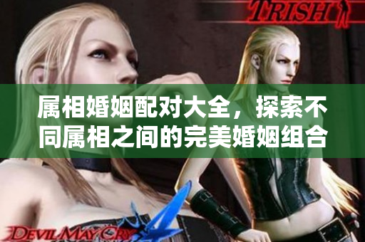 属相婚姻配对大全，探索不同属相之间的完美婚姻组合！