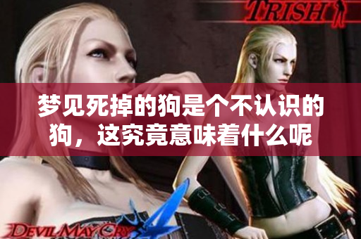 梦见死掉的狗是个不认识的狗，这究竟意味着什么呢
