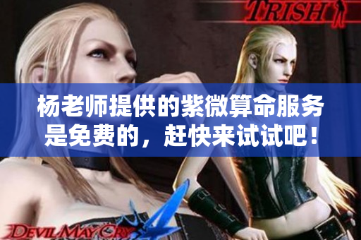 杨老师提供的紫微算命服务是免费的，赶快来试试吧！