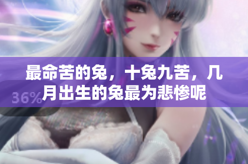 最命苦的兔，十兔九苦，几月出生的兔最为悲惨呢