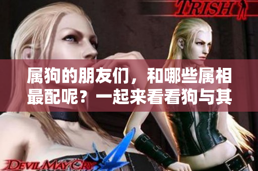 属狗的朋友们，和哪些属相最配呢？一起来看看狗与其他属相的配对情况吧！