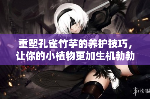 重塑孔雀竹芋的养护技巧，让你的小植物更加生机勃勃