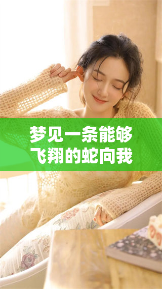 梦见一条能够飞翔的蛇向我飞来，令人感到惊讶与恐惧的梦境