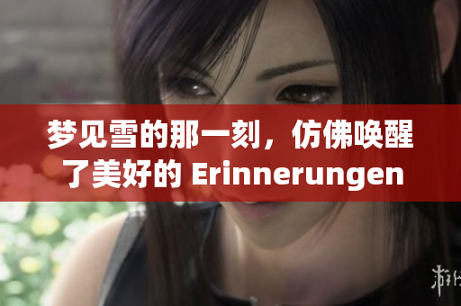 梦见雪的那一刻，仿佛唤醒了美好的 Erinnerungen