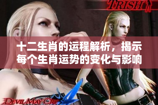 十二生肖的运程解析，揭示每个生肖运势的变化与影响