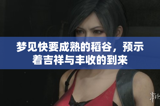 梦见快要成熟的稻谷，预示着吉祥与丰收的到来