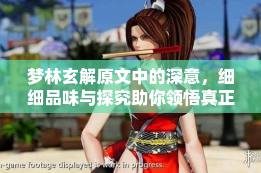 梦林玄解原文中的深意，细细品味与探究助你领悟真正的智慧