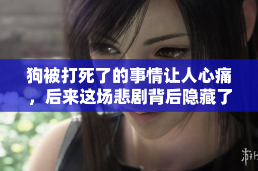狗被打死了的事情让人心痛，后来这场悲剧背后隐藏了哪些原因呢