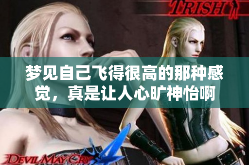 梦见自己飞得很高的那种感觉，真是让人心旷神怡啊