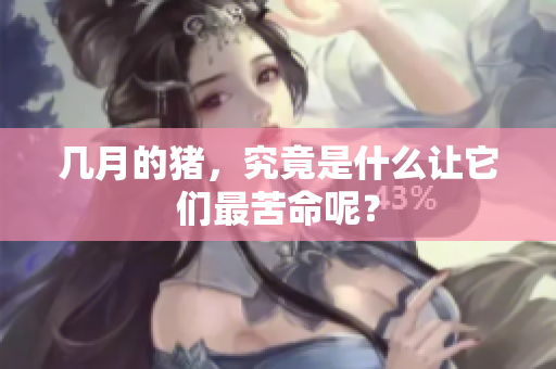 几月的猪，究竟是什么让它们最苦命呢？
