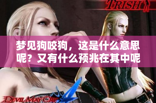 梦见狗咬狗，这是什么意思呢？又有什么预兆在其中呢？
