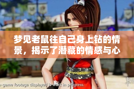 梦见老鼠往自己身上钻的情景，揭示了潜藏的情感与心理暗示