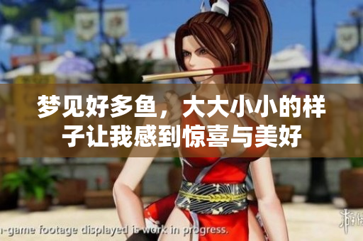 梦见好多鱼，大大小小的样子让我感到惊喜与美好